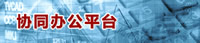 協(xié)同辦公平臺(tái)